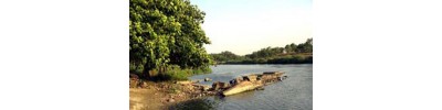 066. திருநைமிசாரண்யம்